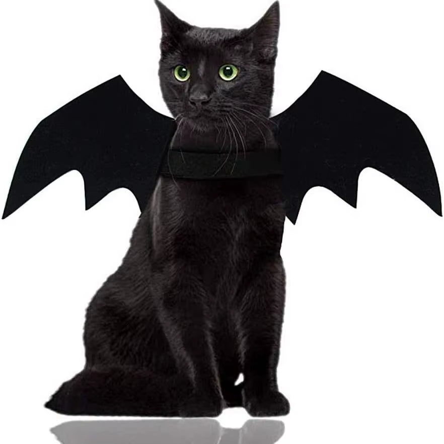 Black cat with green eyes sitting facing camera wearing black bat wing costume on white background
