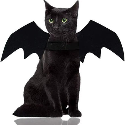 Black cat with green eyes sitting facing camera wearing black bat wing costume on white background