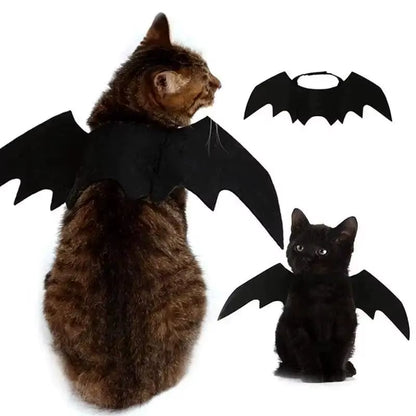 Brown tabby cat viewed from behind wearing bat wings, with inset of the flat costume and a black kitten wearing it