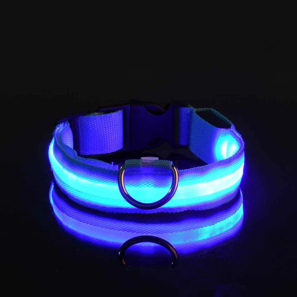 Blue LED glow strip on the nylon collar band lit brightly on a black background, with buckle and D-ring visible