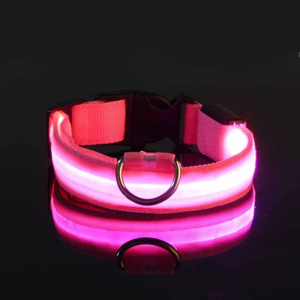 Pink LED glow strip on the nylon collar band lit brightly on a black background, with buckle and D-ring visible