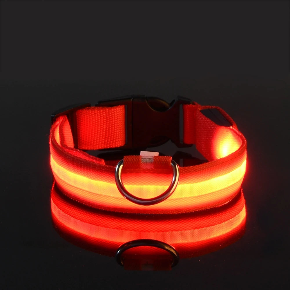 Red LED glow strip on the nylon collar band lit brightly on a black background, with buckle and D-ring visible