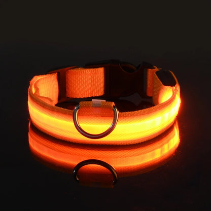 Orange LED glow strip on the nylon collar band lit brightly on a black background, with buckle and D-ring visible