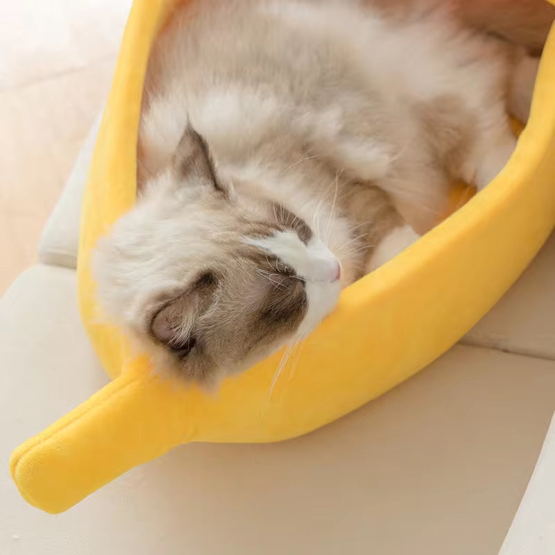 Top-down close-up of a Ragdoll cat sleeping curled inside the yellow banana bed with eyes closed