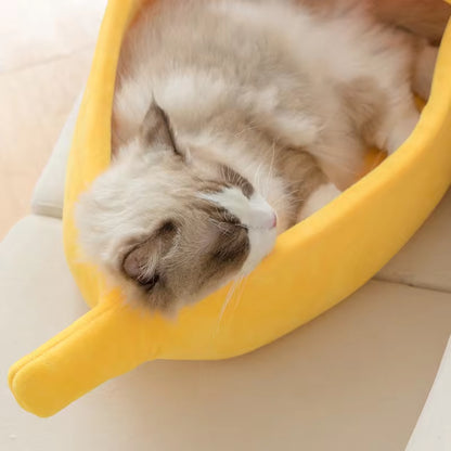 Top-down close-up of a Ragdoll cat sleeping curled inside the yellow banana bed with eyes closed