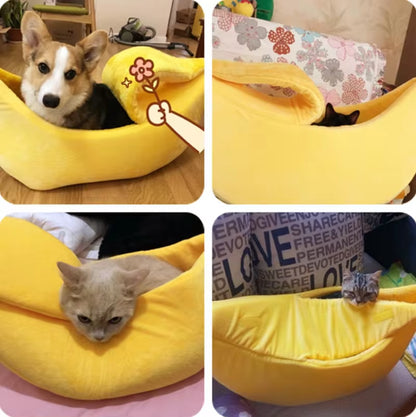 Four-photo grid: a corgi in a yellow bed with a flower graphic, a black cat, a tan cat, and a tabby kitten each peeking out of yellow banana beds