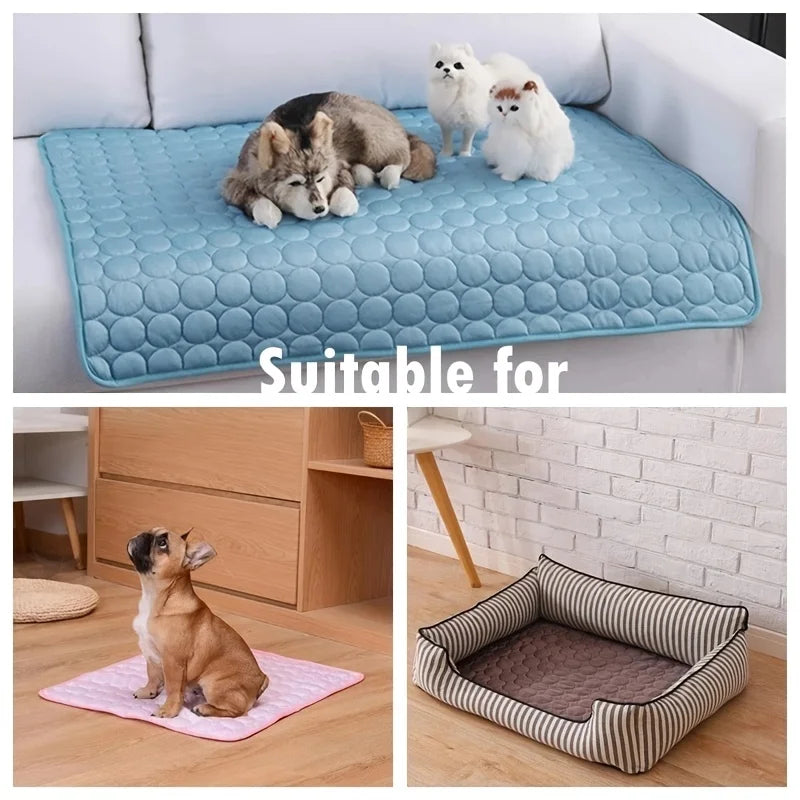 Three-panel image: mat with plush toys on a sofa, a French bulldog sitting on a pink mat on wood flooring, and a striped pet bed