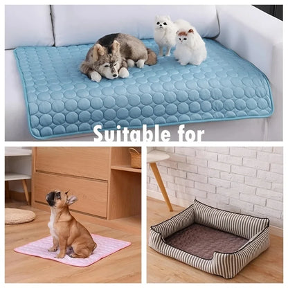 Three-panel image: mat with plush toys on a sofa, a French bulldog sitting on a pink mat on wood flooring, and a striped pet bed