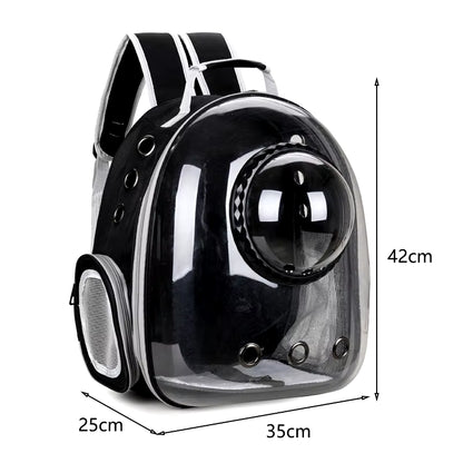 Product shot of the black carrier backpack with dimensions labeled 42cm tall, 35cm wide, 25cm deep