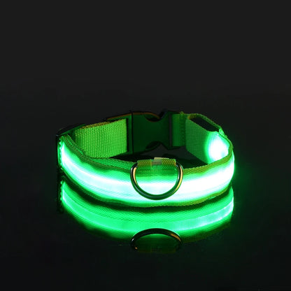 Green LED glow strip on the nylon collar band lit brightly on a black background, with buckle and D-ring visible