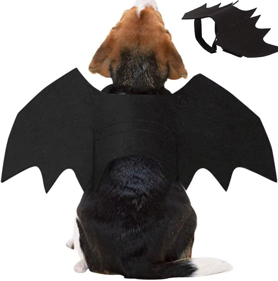 Rear view of a beagle-mix dog wearing black bat wings costume, with inset of the folded flat costume