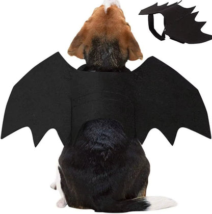 Rear view of a beagle-mix dog wearing black bat wings costume, with inset of the folded flat costume
