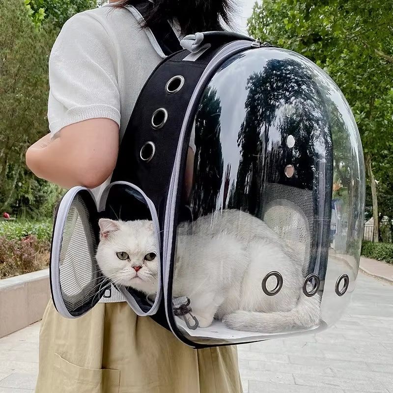 Woman carrying the backpack outdoors with a white cat's head poking out of the open side mesh pocket
