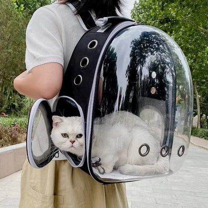 Woman carrying the backpack outdoors with a white cat's head poking out of the open side mesh pocket