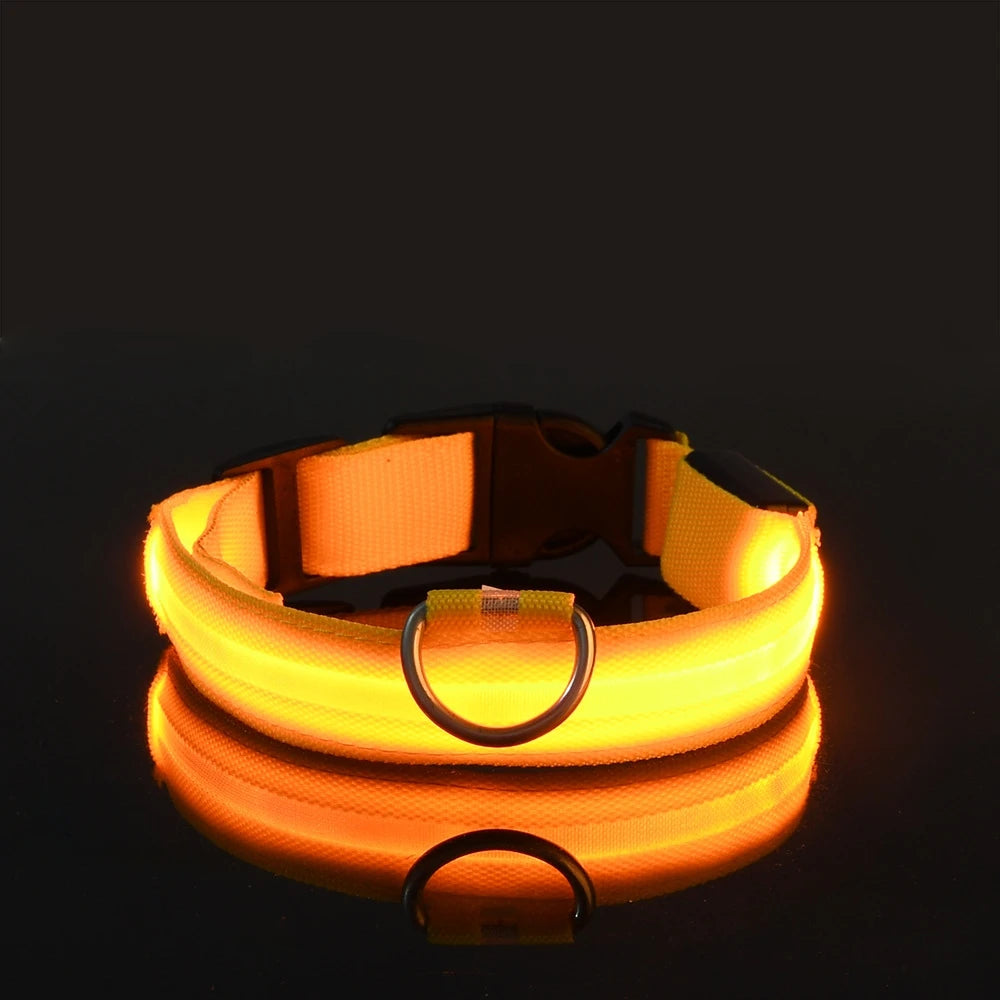 Yellow LED glow strip on the nylon collar band lit brightly on a black background, with buckle and D-ring visible